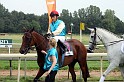 Ascot Renntag09   119